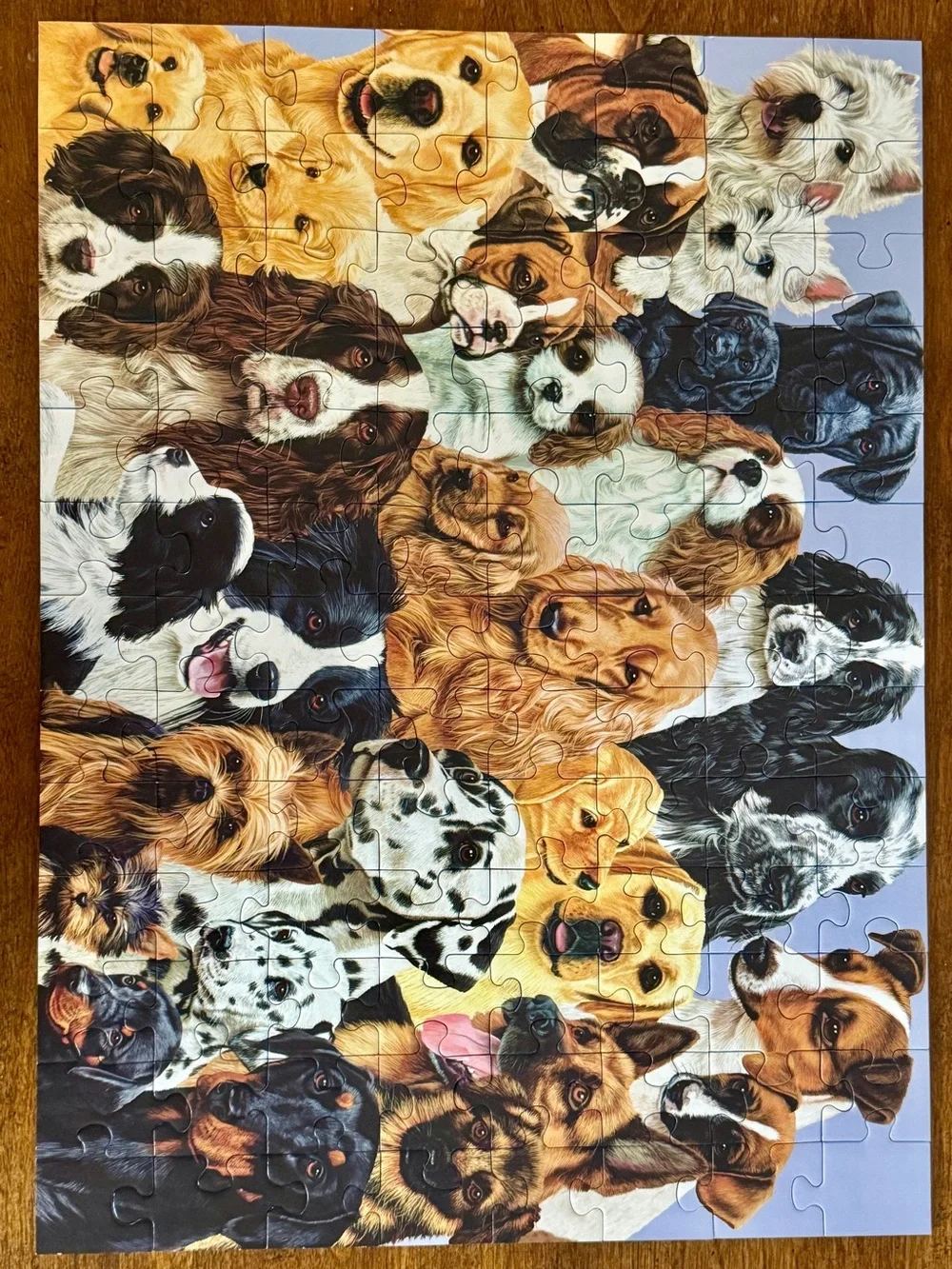EUC Ravensburger 100-piece puzzle featuring various dog breeds - Fun!